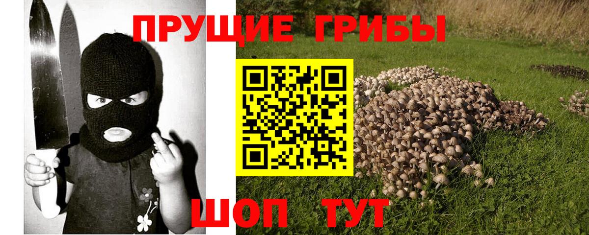 Псилоцибиновые грибы MAGIC MUSHROOMS Лосино-Петровский