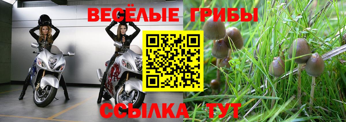 Псилоцибиновые грибы ЛСД  Вход с VPN  Лосино-Петровский  Псилоцибиновые грибы Psilocybe 